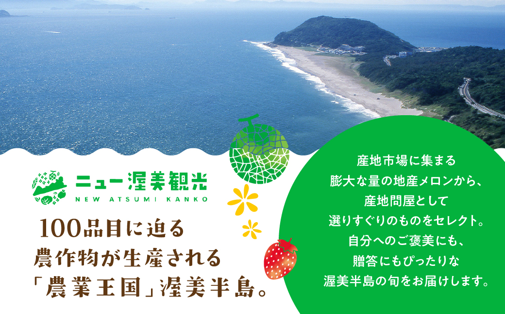 【先行予約】訳あり マスクメロン 3玉 メロン めろん マスクメロン フルーツ 果物 愛知県 田原市 渥美半島 お取り寄せ スイーツ ギフト 贈り物 プレゼント 贈答 贈答用 ニュー渥美 観光 1玉 2玉 3玉 訳あり わけあり ワケアリ 訳アリ