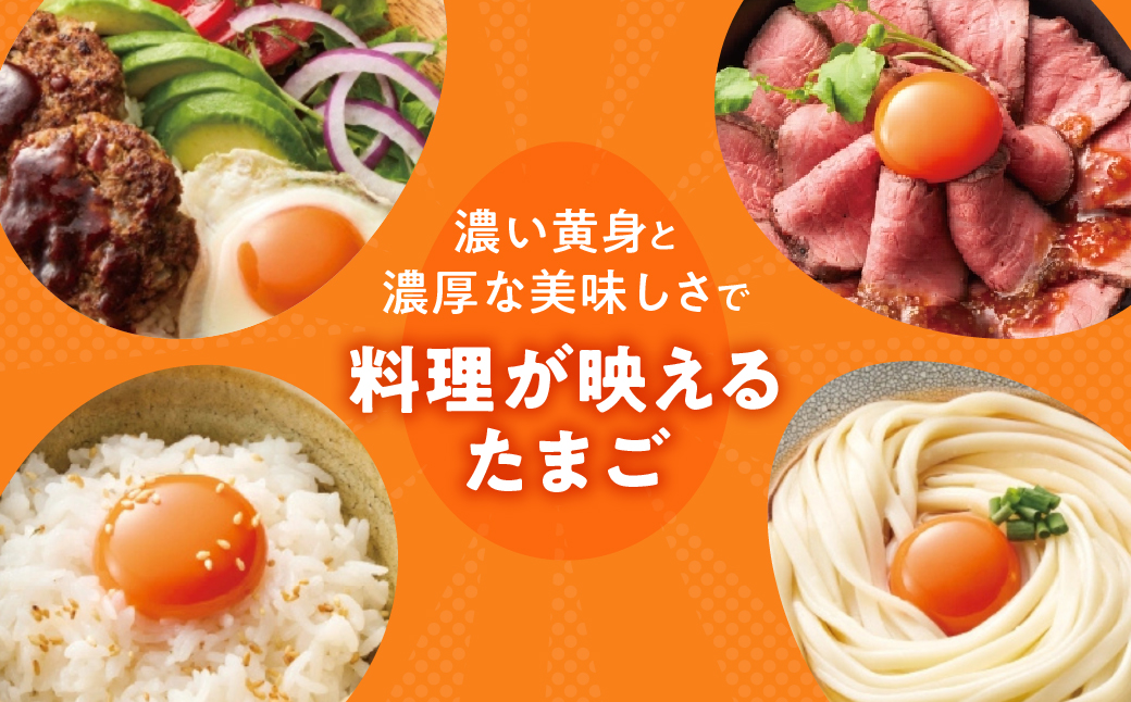 農場たまご めぐみ 30個 定期便6回　割れ保証付き 卵 たまご 鶏卵 30 赤玉 新鮮 毎月お届け 6回 6か月 半年 イラコファーム 愛知県 田原市