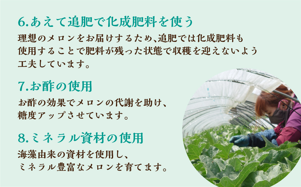 【先行予約】2026年7月お届け タカミメロン 2玉 水野農園 　6月中下旬から7月順次発送 メロン めろん 先行受付 フルーツ 果物 お中元 お取り寄せ ギフト 渥美半島 田原市 産地直送 送料無料 9000円