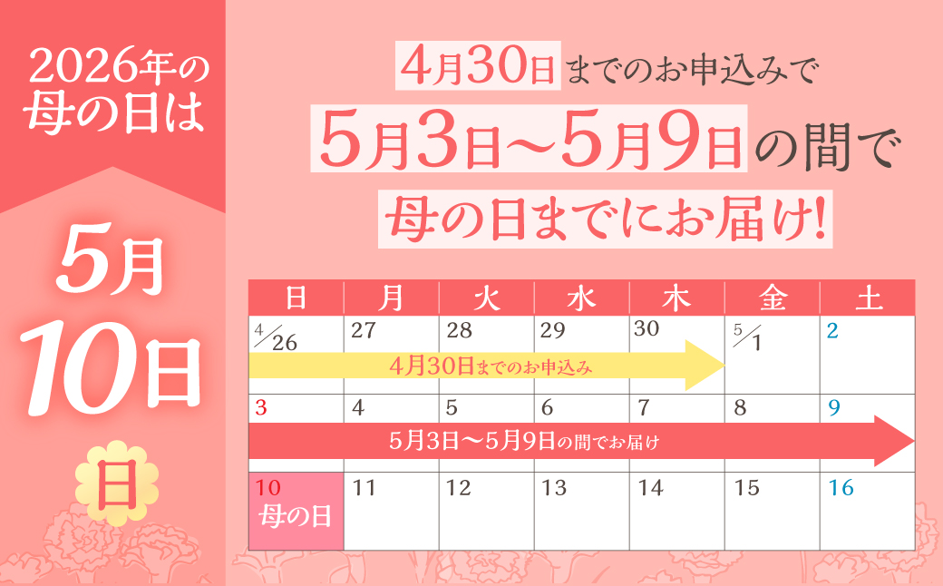 《母の日までにお届け》【さくらもなか】カーネーション 鉢植え 5号鉢 花 フラワー ギフト 母の日 贈り物 プレゼント 母 ママ お母さん ありがとう 感謝 贈答 鉢