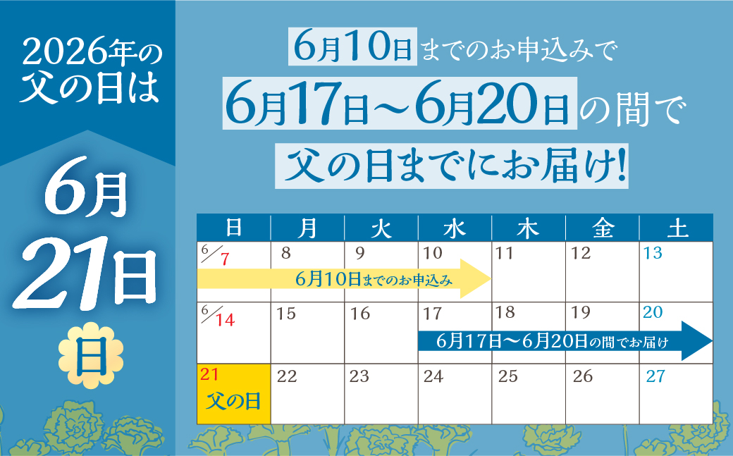 《父の日までにお届け》ハイビスカス イエロー 花 花 鉢植え 鉢 鉢花 花 観葉植物 植物 5号鉢 人気 おしゃれ かわいい 父の日 プレゼント 贈り物 贈答 ギフト 夏 フラワーギフト 父 ありがとう お父さん 父親 記念日