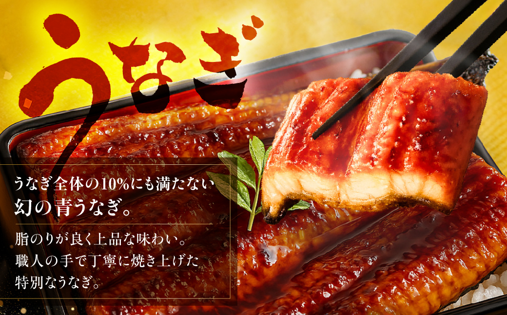  ＼約500品から選べる／あとから選べる！オンラインカタログ あとからセレクト 地鶏 名古屋コーチン 牛肉 肉 国産牛 田原ポーク 豚肉 いちご メロン 選べる しらす うなぎ カタログ 定期便 特産品 グルメ 田原市