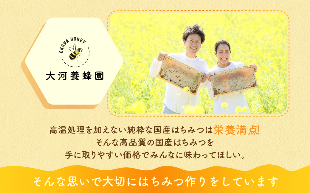 純粋菜の花はちみつ100g 2本 蜂蜜 ハチミツ はちみつ お取り寄せ ご当地 グルメ 取り寄せ グルメ お土産 土産 純粋はちみつ ハニー 純粋ハチミツ 蜂 国産はちみつ 国産ハチミツ 産地直送 健康 送料無料 菜の花 渥美半島