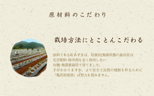 【田原蔵王山麓芋焼酎】 亀若焼酎1.8L瓶 1.8Ｌ お取り寄せ ご当地 焼酎 芋焼酎 芋 紅あずま いも焼酎 本格焼酎 お酒 セット 宅飲み 1800 地酒 ギフト 送料無料 12000円