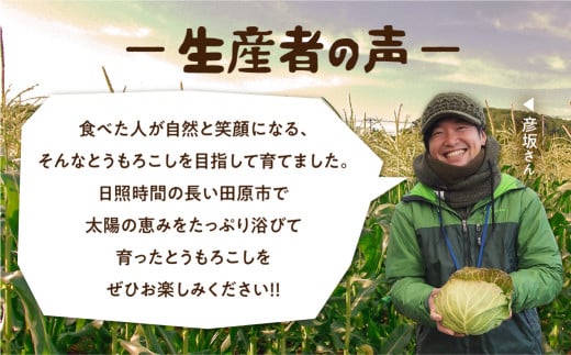 《期間限定》2026年先行予約 平均糖度20度以上 極甘とうもろこし 10～12本 鮮度保持袋入り