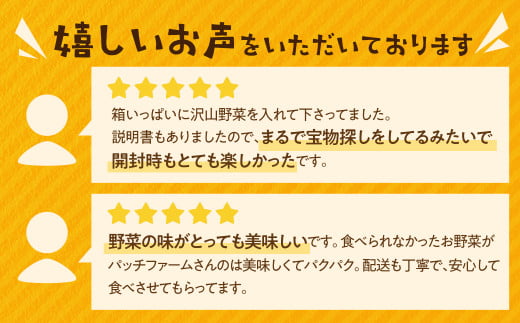 【渥美半島より新鮮野菜をお届けします】　旬彩野菜バスケットL　約6kg ／ 季節野菜 採れたて 露地栽培 旬 愛知県 特産品 産地直送 田原市 渥美半島