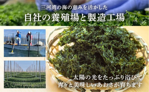 はじめましてあおさのりです。　10パック　計200g ／ 海苔 海藻 愛知県 特産品 産地直送 田原市 渥美半島