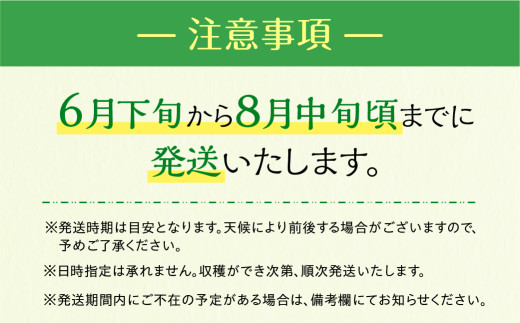 【先行予約】伊良湖産 限定品 マスクメロン 3玉 Premium 2026年6月下旬から7月中旬順次発送 箱詰め メロン フルーツ 果物 お中元 お取り寄せ ギフト 渥美半島 田原市 産地直送 送料無料