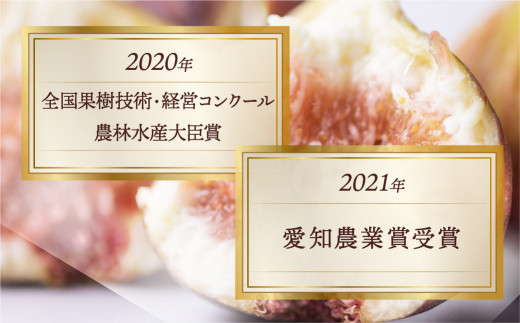 先行予約 完熟 いちじく 9～12玉 ［極］大玉 定期便 3カ月 いちじく好きのための定期便 2025年6月より順次発送 無花果 イチジク 愛知県  田原市 48000円
