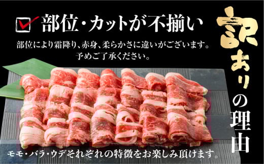 〈訳あり〉国産牛 切落し 900g 渥美半島 田原牛 スライス うす切り 牛肉 肉 きりおとし 牛丼 カレー ビーフシチュー に お取り寄せ お取り寄せグルメ 切落し ふぞろい 訳アリ わけあり ワケアリ 不揃い