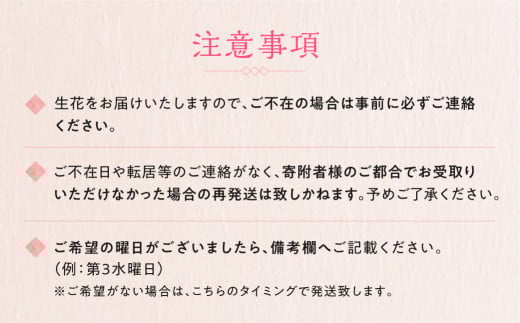 定期便 12回 季節のお花を使った フラワーアレンジメント 花 かご付き 生花 お任せ ギフト プレゼント 飾り 愛知県 田原市 渥美半島 204000円