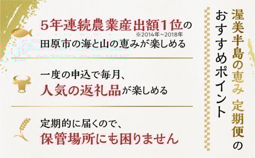 先行予約 2025年発送 渥美半島の恵み メロン 定期便 3回 ( イエローキング / タカミメロン / マスクメロン) 果物 旬 めろん 夏 夏季 食べ比べ 3種 人気 愛知県 田原市 39000円