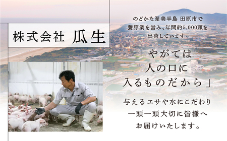 訳あり 国産 豚肉 食べ比べ 2本 ヒレ ブロック 冷蔵 瓜生豚 小分け 簡易包装 訳あり ぶた 贈り物 ギフト お取り寄せ お取り寄せグルメ 食品 送料無料 産地直送 冷蔵 瓜生