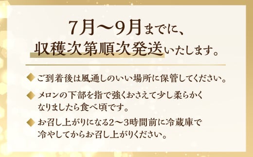 日研農園 アールスメロン　3L×4玉入 【先行予約】 めろん フルーツ 果物 ジューシー 愛知県 特産品 産地直送 田原市 渥美半島