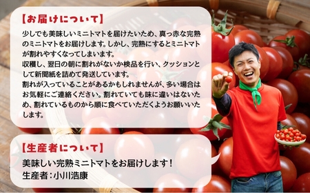 グランプリ受賞 完熟 出汁推し実 ミニトマト2kg