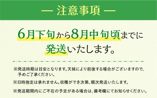 【先行予約】 伊良湖産 マスクメロン Premium 2玉 2026年6月下旬から8月中旬まで順次発送 箱詰め メロン フルーツ 果物 お取り寄せ ギフト 渥美半島 田原市 産地直送 送料無料