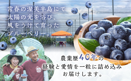 【先行予約】2026年発送　渥美半島　完熟　ブルーベリー　500g