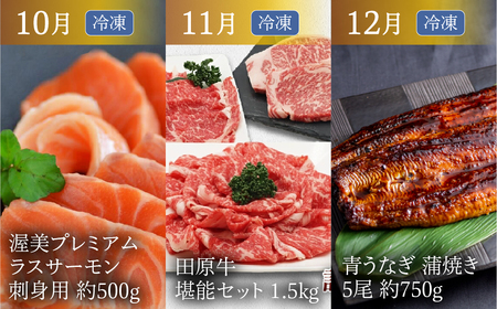 渥美半島の恵み どうまい 定期便 プレミアム 全12回 （ うなぎ いちご 地鶏 名古屋コーチン メロン マスクメロン ブランド豚 田原ポーク ハム ソーセージ ブルーベリー ジェラート とうもろこし サーモン 海鮮 和牛 牛肉 青うなぎ ) ご当地 人気 頒布会 定期便 12回定期便