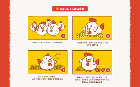 希少な2種のたまごセット 50個 12ヶ月定期便 割れ保証付き 卵 たまご 鶏卵 50 お楽しみ 定期便 12回 12か月 12カ月 1年