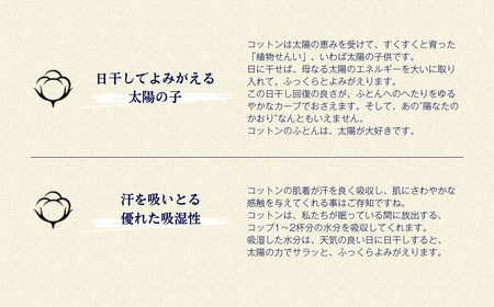 オーガニックコットン ベビーふとん 5点セット