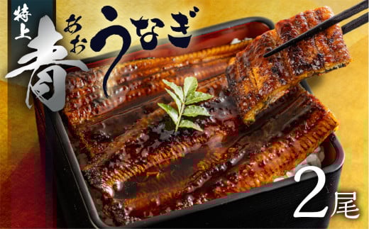 青うなぎ＆餃子  渥美半島よくばりセット 年内 蒲焼き 鰻 ウナギ うなぎ蒲焼 惣菜 幻 簡単調理 おいしい 高評価 ふるさと納税 魚 さかな 魚介 ランキング ぎょうざ ギョウザ おかず おすすめ