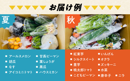 青うなぎ＆野菜  渥美半島よくばりセット 年内 蒲焼き 鰻 ウナギ うなぎ蒲焼 惣菜 幻 簡単調理 おいしい 高評価 ふるさと納税 魚 さかな 魚介 ランキング 野菜ソムリエ厳選 旬の野菜 フルーツ 詰め合わせ おすすめ