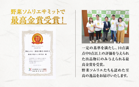 2026年先行予約極上メロン 渥美の陽光-HIKARI- メロン めろん フルーツ 旬 果物 渥美半島 田原市 愛知県