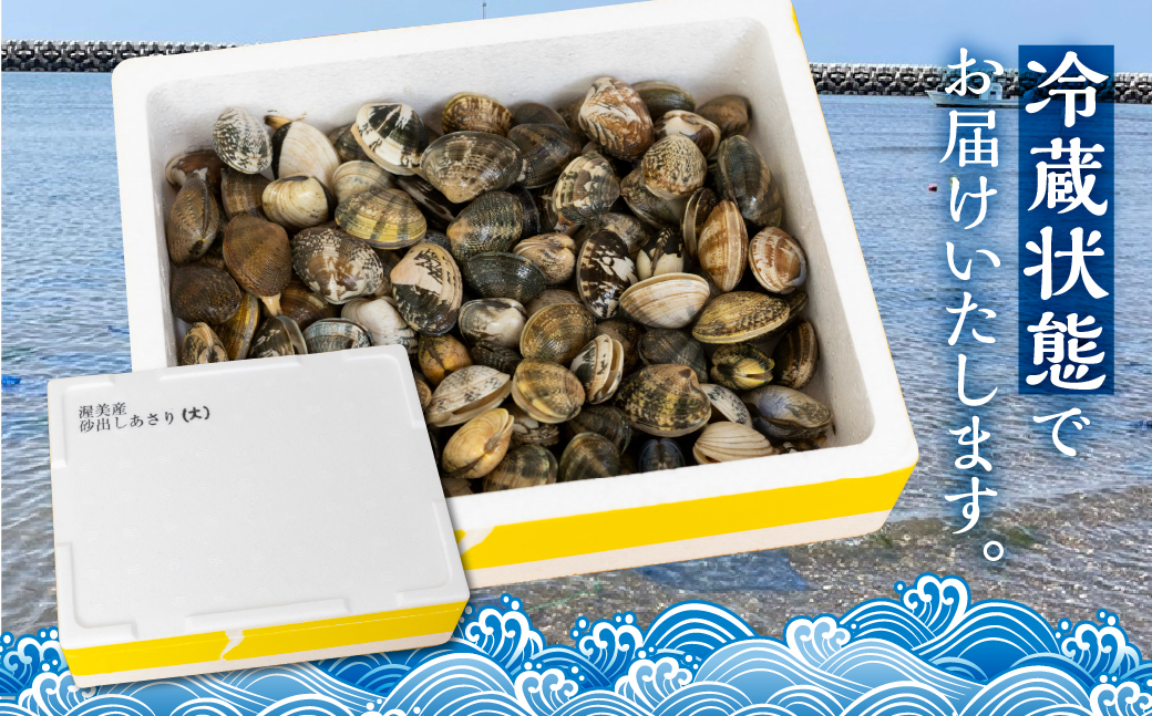 渥美産 天然旨あさり 特大 1kg あさり