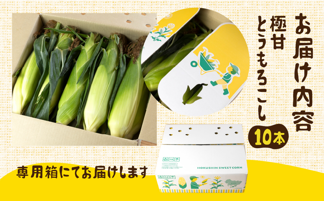《先行予約》高評価 平均糖度20以上 白い極甘とうもろこし 10本 朝採り 人気 甘い 訳あり ワケアリ 簡単調理 まるで フルーツ 送料無料 高レビュー 数量限定 2025年 先行予約