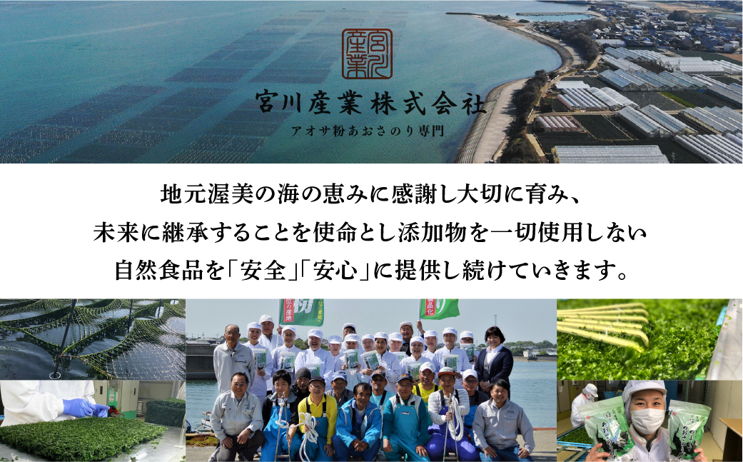 訳あり あおさ 100g 簡易包装 愛知県 三河湾産 「はじめまして あおさのり です。」あおさ海苔 海苔 味噌汁 みそ汁 具 海藻類 アオサ 訳アリ 大容量 送料無料 国産 食品 田原市 5000円 人気