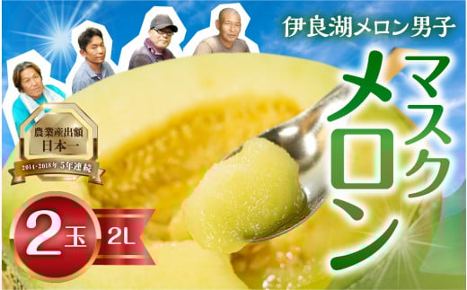 先行予約 伊良湖産 マスクメロン 2玉 2Lサイズ 2026年6月下旬から8月中旬まで発送  箱詰め メロン フルーツ 果物  お取り寄せ 渥美半島 田原市 産地直送 送料無料