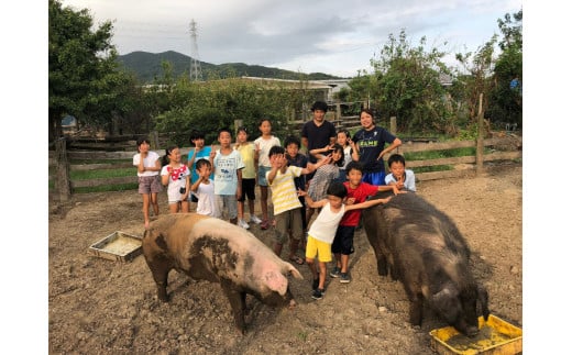 どろんこ村ファームステイ 2泊3日参加券(子ども1名様分) 自然体験 農業 食育 食べる 育てる 体験型 宿泊 田舎 田舎暮らし