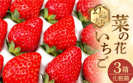 先行予約 菜の花いちご　3箱(8粒～12粒入) 大粒 2026年1月～発送開始 イチゴ いちご 苺 果物 くだもの フルーツ 贅沢品 贈答品 高級品 ブランド 先行受付 お取り寄せ 田原市 産地直送 送料無料 事前予約 品種お任せ あきひめ 紅ほっぺ さがほのか