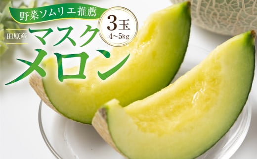 先行予約 数量限定 野菜ソムリエ推薦渥美半島伊良湖潮風育ちマスクメロン3玉(4～5キロ)カラーギフト箱入り　2026年６月下旬～８月上旬発送 田原市 伊良湖産 ギフト プレゼント お取り寄せ 渥美半島 農家直送 送料無料 17000円