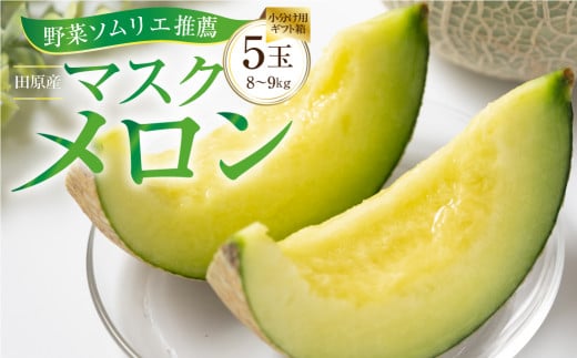 先行予約 数量限定 野菜ソムリエ推薦渥美半島伊良湖潮風育ち厳選マスクメロン5玉(8～9キロ)小分け用ギフト箱1箱付き 2026年6月下旬～8月上旬発送 田原市 伊良湖産 ギフト プレゼント お取り寄せ 渥美半島 農家直送 送料無料 28000円