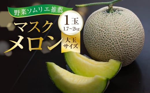 先行予約 数量限定 野菜ソムリエ推薦渥美半島伊良湖潮風育ちマスクメロン1玉大玉サイズ(1.7～2キロ)カラーギフト箱入り 2026年６月下旬～８月上旬発送 田原市 伊良湖産 ギフト プレゼント お取り寄せ 渥美半島 農家直送 送料無料 10000円 一万円
