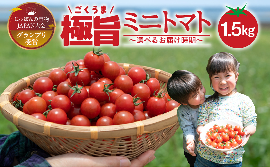 グランプリ受賞 完熟 出汁推し実 ミニトマト 1.5kg