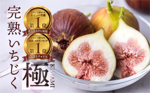 先行予約 完熟 いちじく［極］ 2026年6月～お届け いちじく イチジク フルーツ 果物