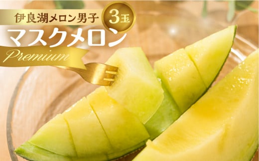 【先行予約】伊良湖産 限定品 マスクメロン 3玉 Premium 2026年6月下旬から7月中旬順次発送 箱詰め メロン フルーツ 果物 お中元 お取り寄せ ギフト 渥美半島 田原市 産地直送 送料無料