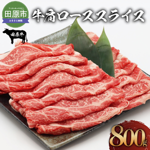 田原牛 牛肩ロース 800g すき焼き しゃぶしゃぶ 牛肉 ビーフ 肩ロース お取り寄せ 牛 特産 ご当地 グルメ おうち時間 国産 霜降り ふるさと納税 肉 冷凍 贅沢 和食 洋食 祝 田原市 送料無料 23000円