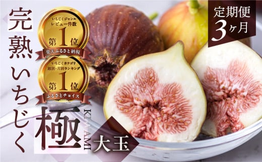 先行予約 完熟 いちじく 9～12玉 ［極］大玉 定期便 3カ月 いちじく好きのための定期便 2025年6月より順次発送 無花果 イチジク 愛知県  田原市 48000円