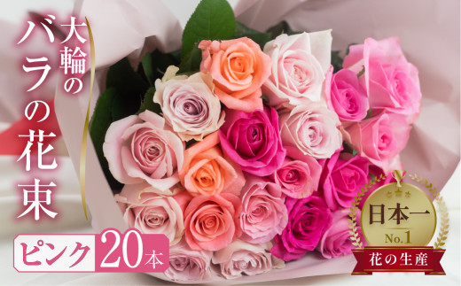 バラ 花束 大輪 ピンク 20本 (40cm) ブーケ ピンクミックス 薔薇 ローズ 生花 プレゼント 花 ギフト  植物 田原市 切り花 切花 12000円