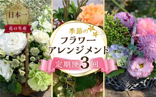 定期便 3回 季節のお花を使った フラワーアレンジメント 花 かご付き 生花 お任せ ギフト プレゼント 飾り 愛知県 田原市 渥美半島 51000円