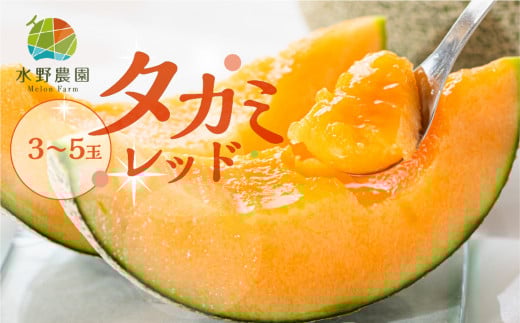 【先行予約】2026年6月お届け タカミレッド 5kg 3～5玉 水野農園 メロン めろん レッド  お中元 渥美半島 田原市 産地直送 送料無料 12000円