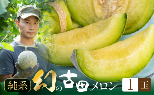 先行予約 渥美半島石井農園・純系 古田メロン1玉 【2026年7月発送】 石井農園 純系 箱詰め メロン フルーツ 果物 お取り寄せ 渥美半島 産地直送 幻 希少品 田原市 送料無料 10,000円