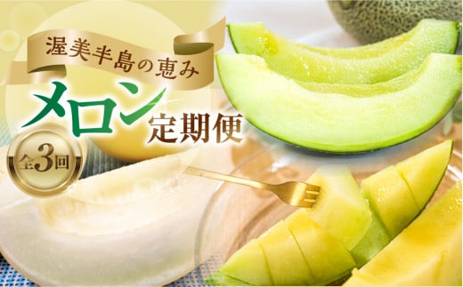 先行予約 2025年発送 渥美半島の恵み メロン 定期便 3回 ( イエローキング / タカミメロン / マスクメロン) 果物 旬 めろん 夏 夏季 食べ比べ 3種 人気 愛知県 田原市 39000円