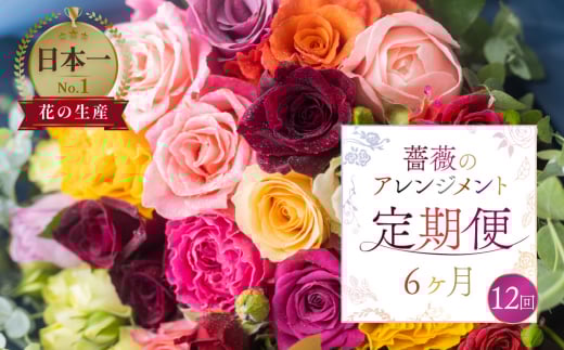 【定期便】薔薇 アレンジメント  (バラ20本+ユーカリ) 6ヶ月 12回お届け 隔週 花束 アレンジブーケ バラ 薔薇 花束 ローズ 生花 赤 ピンク 色おまかせ 観賞用 プレゼント 花 ギフト 誕生日 植物 フラワー 土壌栽培 産地直送 田原市 人気 切り花 切花 144000円