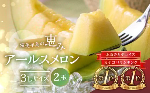 農業王国 渥美半島 田原市から 日研農園 アールスメロン　3L×2玉入 ／ めろん フルーツ 果物  特産品 産地直送 田原市 渥美半島