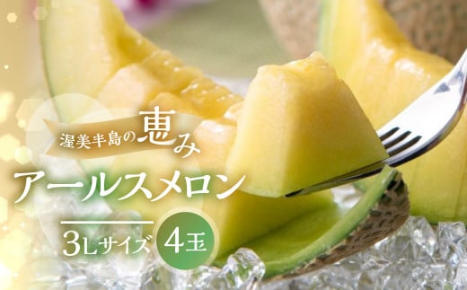 日研農園 アールスメロン　3L×4玉入 【先行予約】 めろん フルーツ 果物 ジューシー 愛知県 特産品 産地直送 田原市 渥美半島