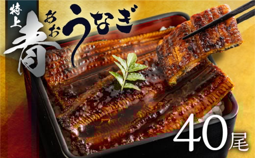 厳選 高級 青うなぎ 蒲焼 40尾 6000g 訳あり 大容量